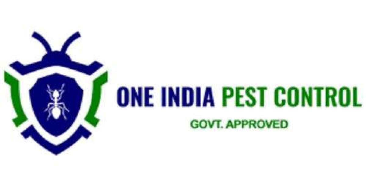 Termite Control Services: Protecting Your Property from Termite Damage