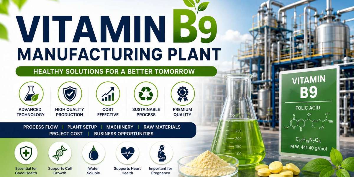 Vitamin B9 Manufacturing Plant Cost: Project Report, Machinery Requirements & Business Plan