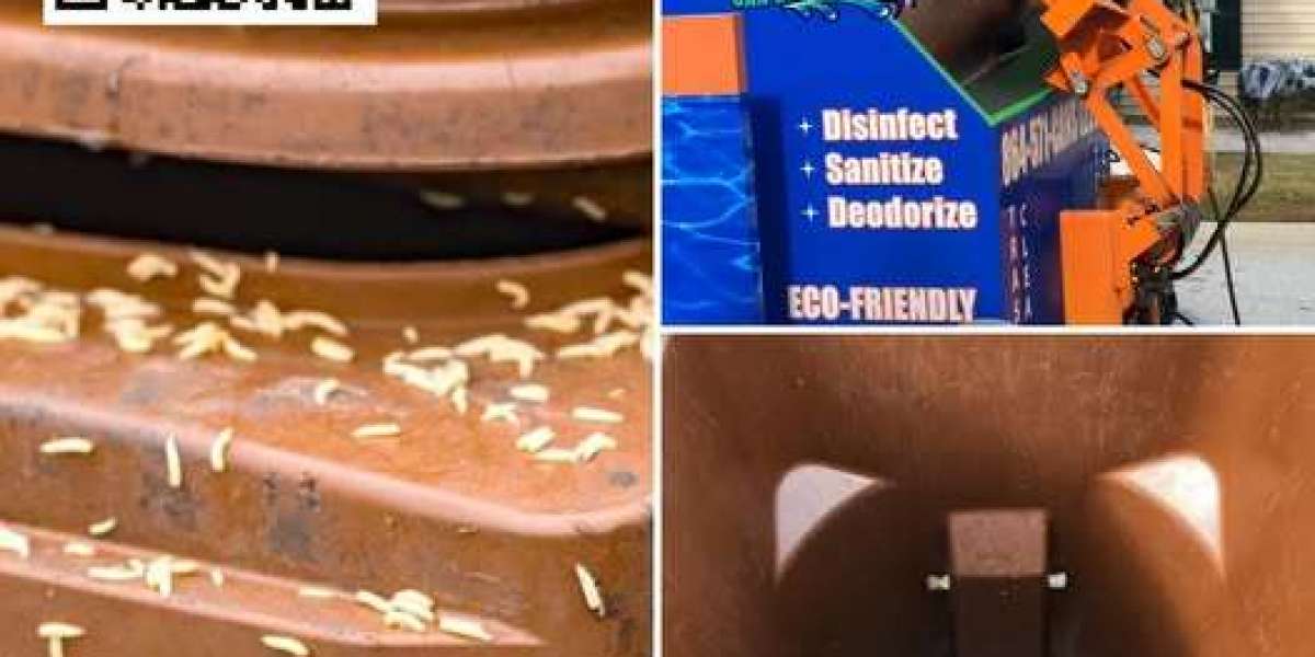 Palmetto Can Cleaning: Your Local Bin Cleaning Experts
