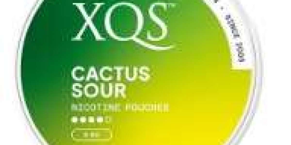 Velo Snus und XQS Snus: Eine neue Ära der individuellen Geschmacksgestaltung