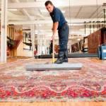 procarepetcleaning