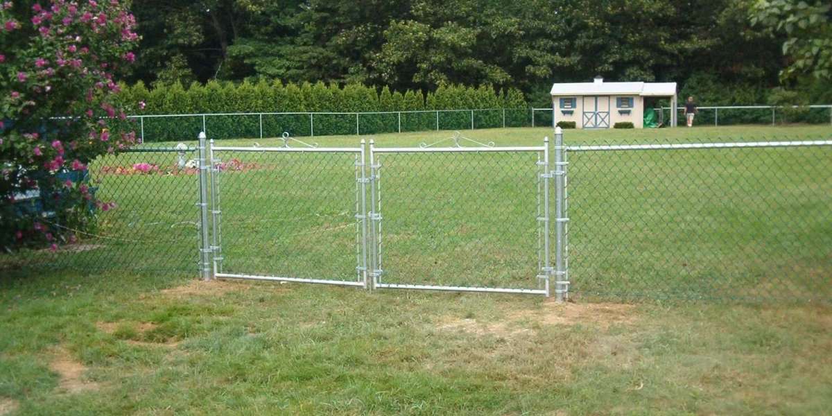 Why Should You Choose a Professional Fence Removal Service In Asheville?