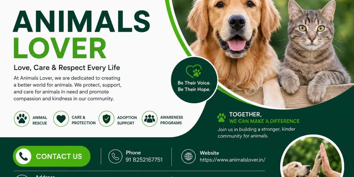 Dogs for Sale Golden Retriever for Sale – Buy Puppies Online from a Trusted Pet Platform