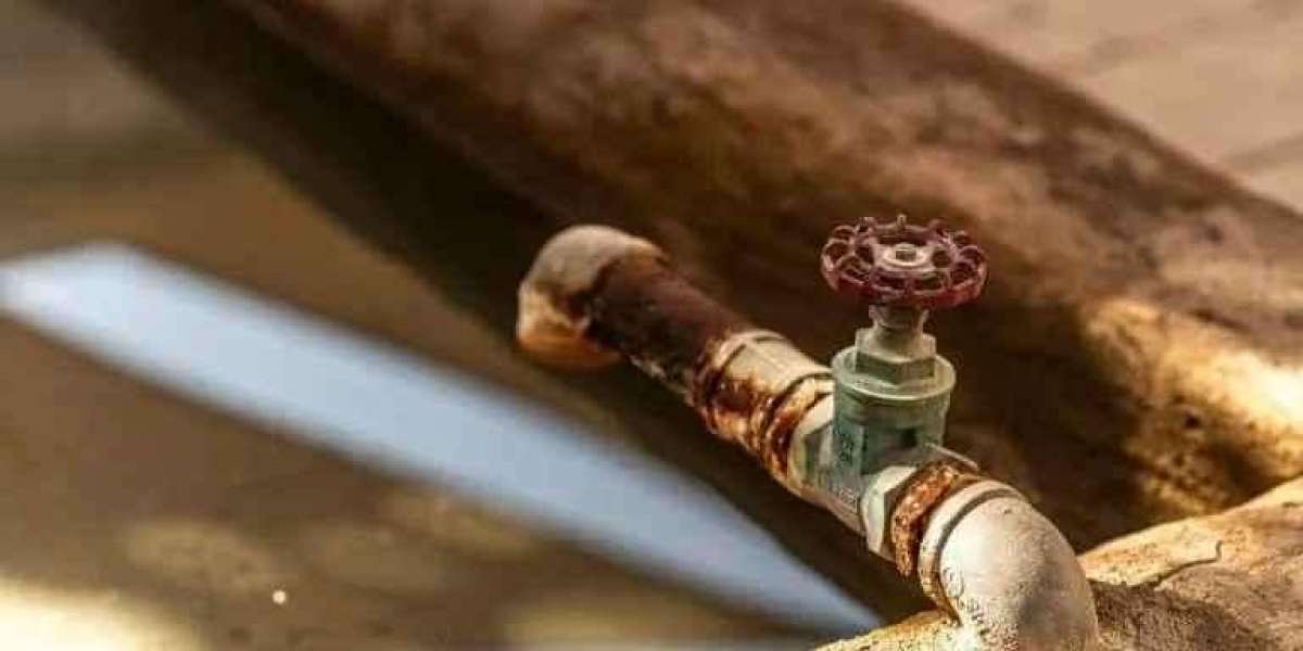 Slow Drain to Sewer Line Repair: The Real Cost