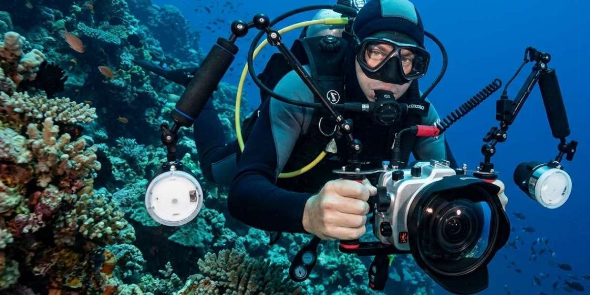 How Can White Balance Ruin Fluorescence Photography?