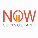 nowexperttax consultant