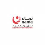 Nama Electricity Distribution Company