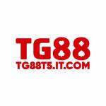 TG88T5 ITCOM