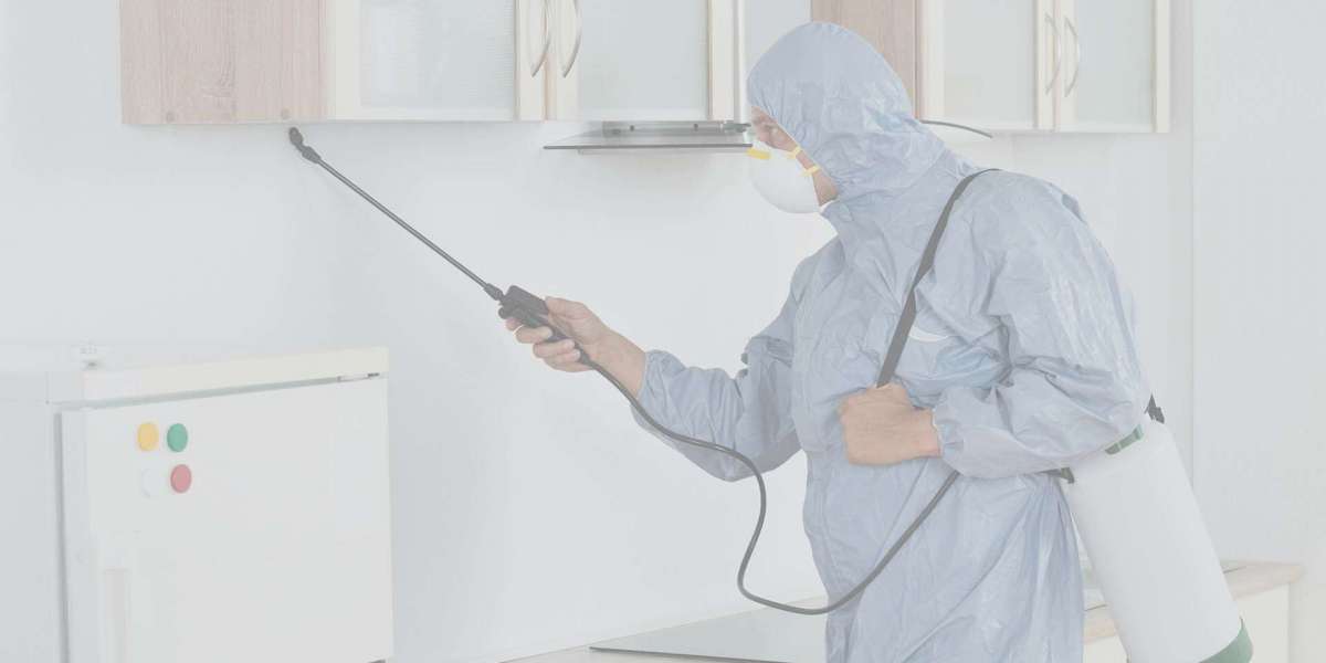 Termite Control Singapore | Professional Termite Treatment Services