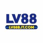 LV88B ITCom