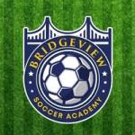 Bridge View Soccer