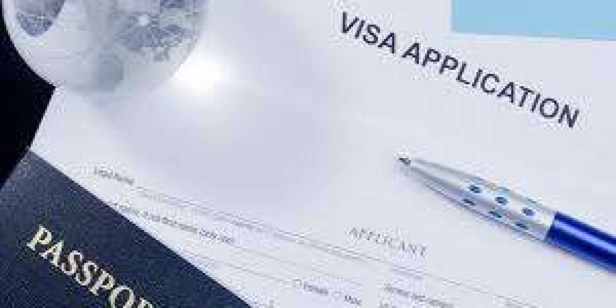 Experienced Immigration Lawyer Toronto for Immigration, Citizenship, and Refugee Cases