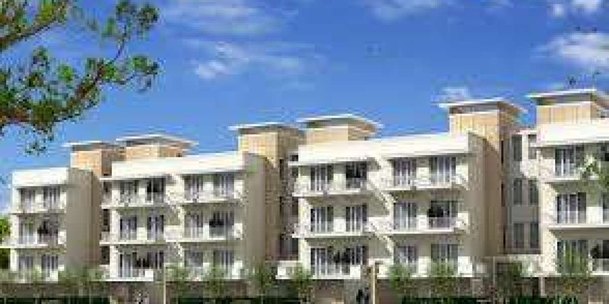 DLF Pinjore Panchkula: A Perfect Choice for Homebuyers and Investors