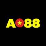 Ao88y Top
