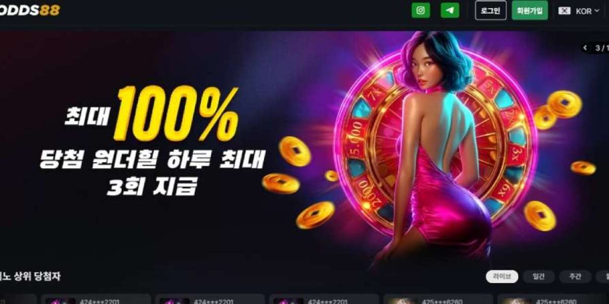 경험 경제 확장과 온라인 카지노 사이트의 사용자 중심 구조 심화