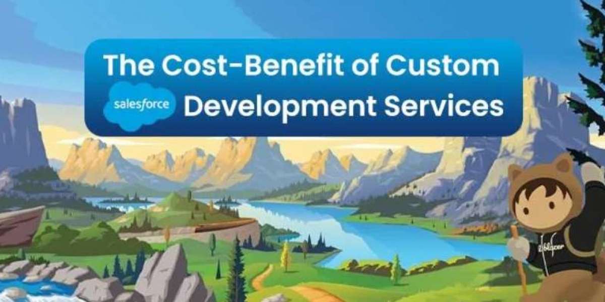 The Cost-Benefit of Custom Salesforce Development Services