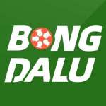 Nhacai bongdalu