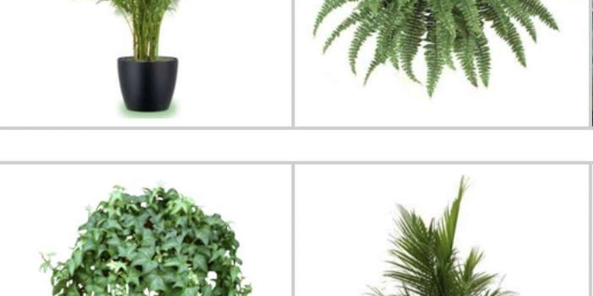 Succulent Arrangement Las Vegas: Beautiful, Low-Maintenance Green Designs for Every Space
