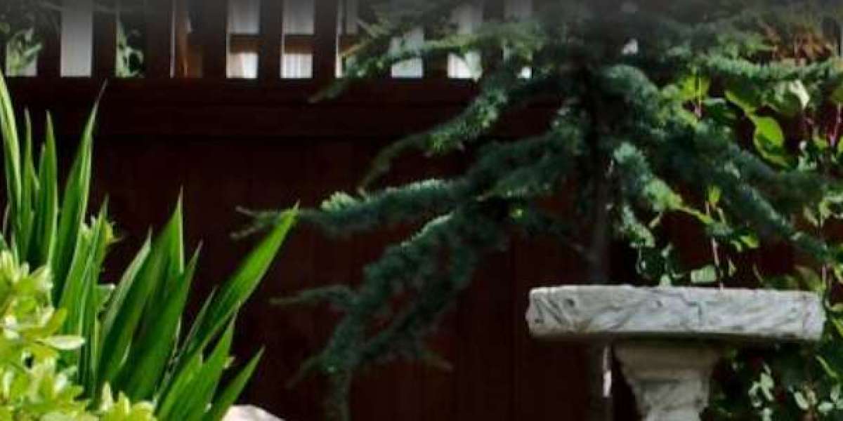 Landscaping Hunters Hill - Trusted Landscaping Services Sydney