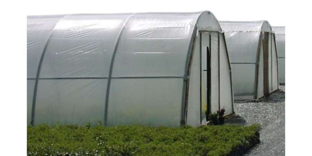 Advanced Crop Protection With Greenhouse Film