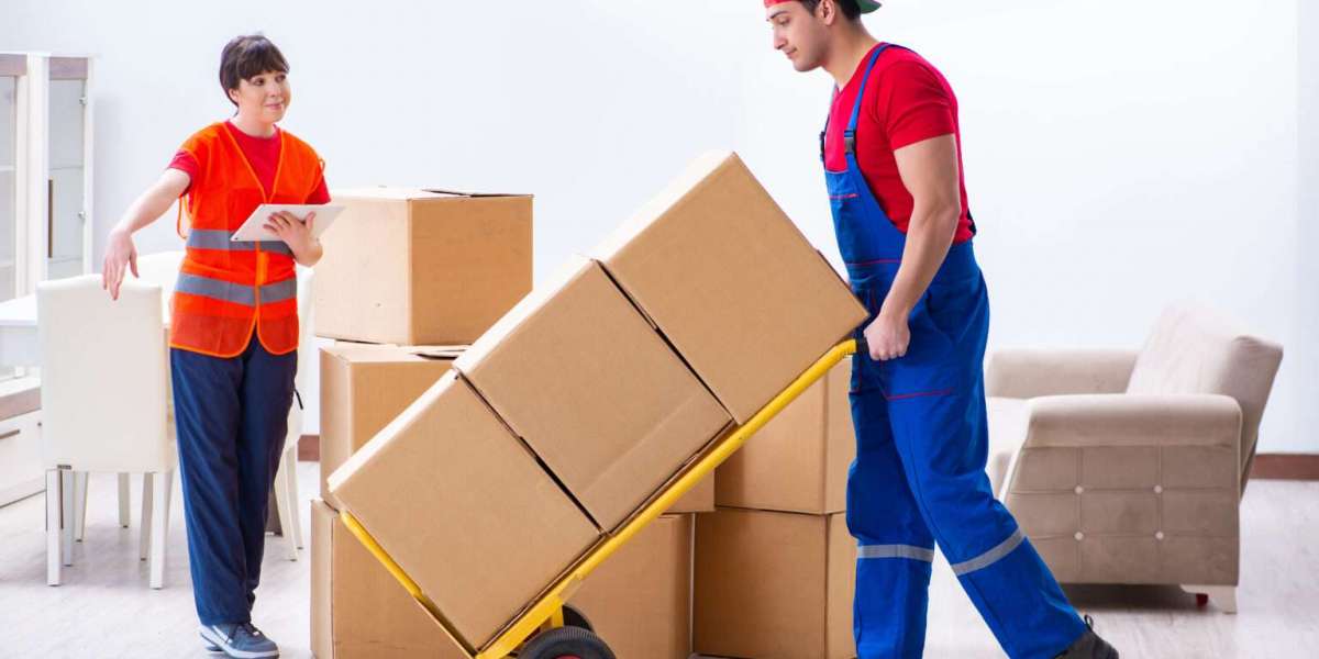 Why Choose Local Movers Services in Washington, and What Makes Them the Best Option for Your Move?