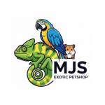 MJS Exotics