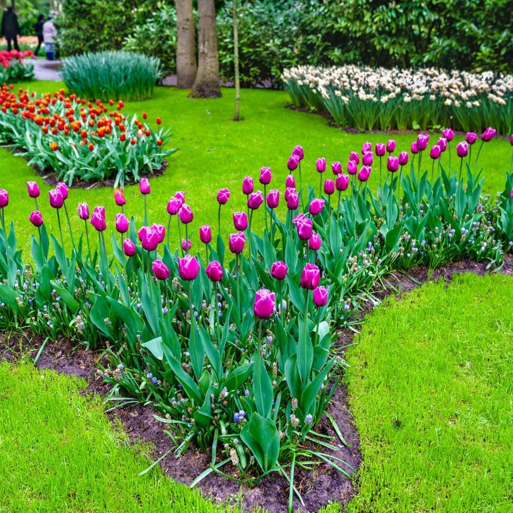 Garden Landscaping Services in Bacchus Marsh