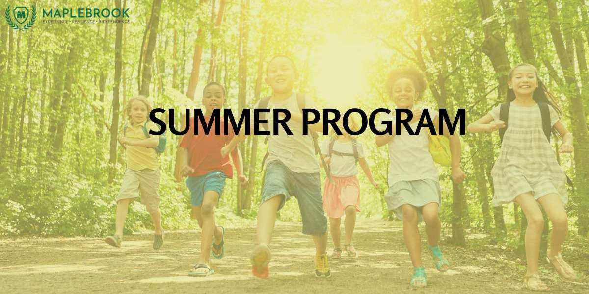 Interactive Skill Development Programs for Academic Success