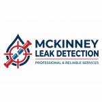 Leak detection Mckinney