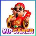 vipganer vipganer