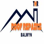 TMR Roof Repairs Balwyn