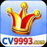 cv9993 cv9993