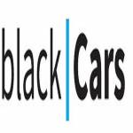 Private Driver Chauffeur Service