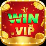 winvip winvip