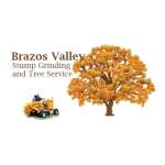 Brazos Valley Stump Grinding and Tree Service