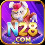 n28 n28