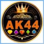 ak44 ak44